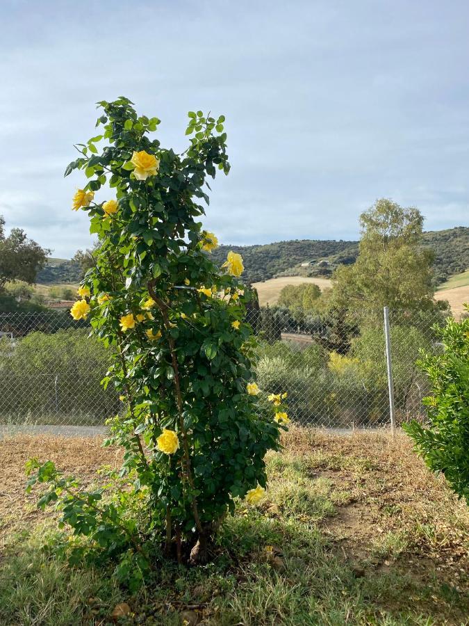 Villa Casa Rosa, El Torcal Almogia ภายนอก รูปภาพ